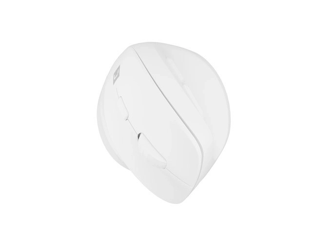 Connection to Multiple Devices