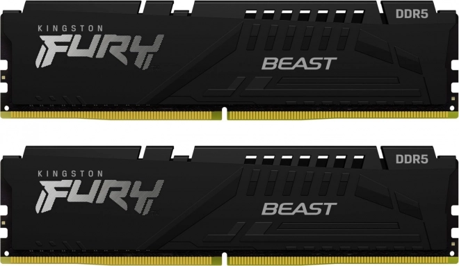 Fury Beast DDR5 64GB Memory Module