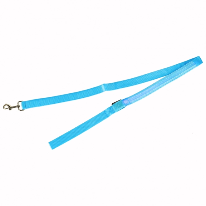 Leuchtende LED-Hundeleine Blau