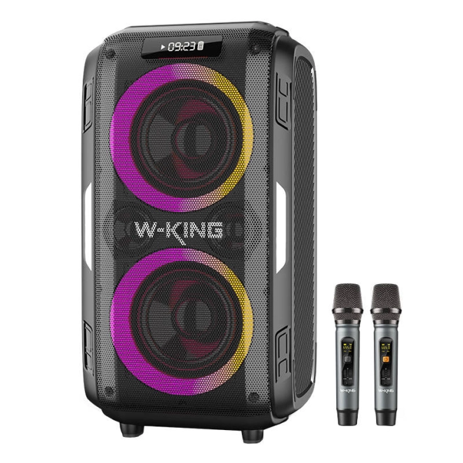 Karaoke zonder kabels: 2 microfoons inbegrepen