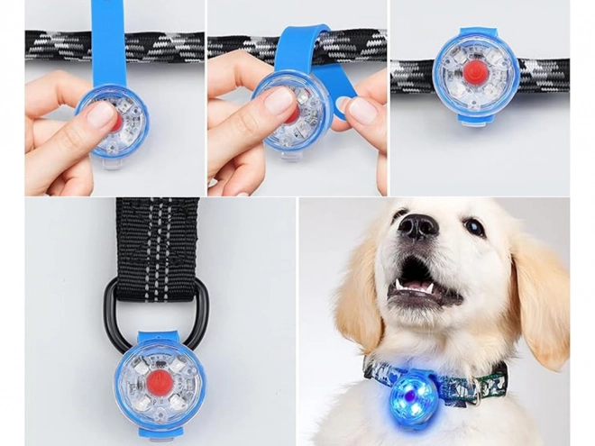 LED Light for Pet Collar