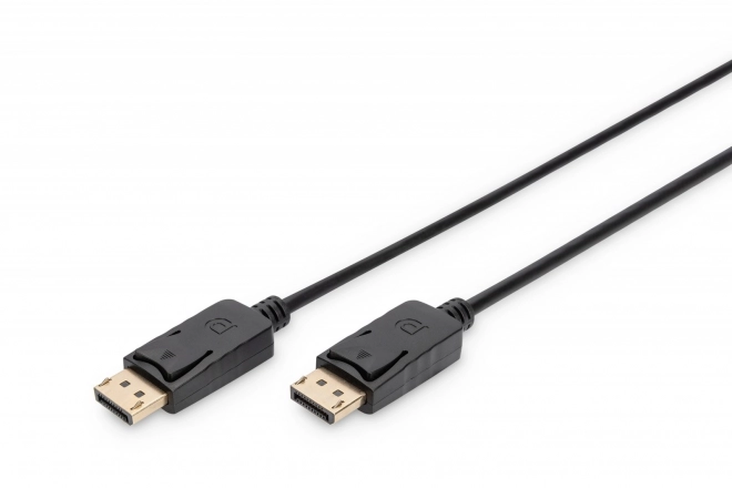 DisplayPort Connection Cable with Latches