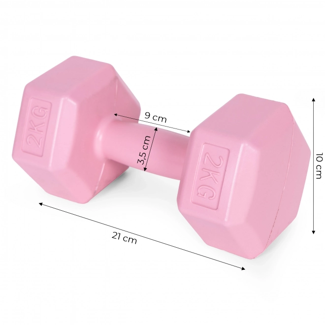 Set of Pink Dumbbells 2x2 kg ModernHome for Fitness