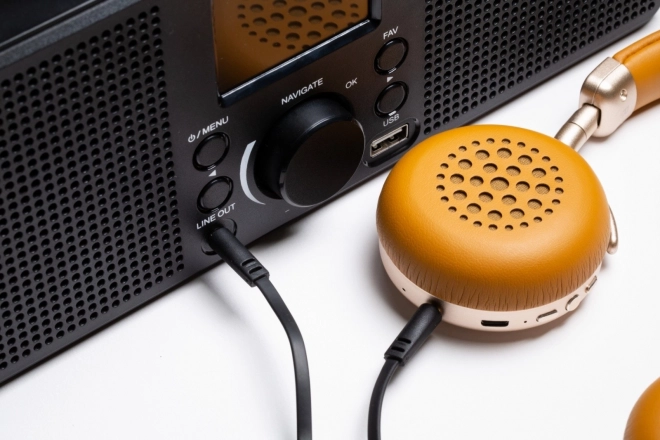 Internetni radio Technaxx z stereo zvočniki 2x2W in WiFi