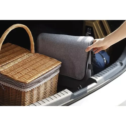 Thermal Insulated Picnic and Beach Bag 40L