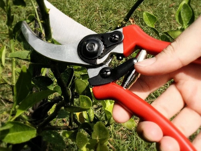 Cesoie da giardino in acciaio forgiato