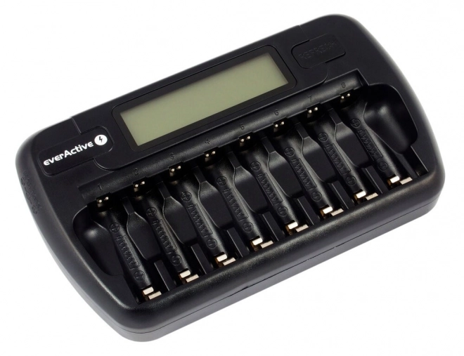 Professional battery charger for AA/AAA batteries