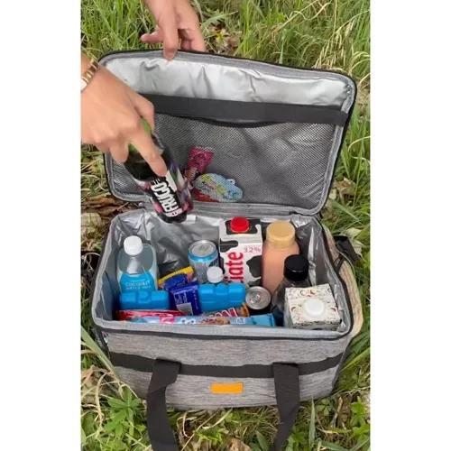 Thermal Insulated Picnic and Beach Bag 40L