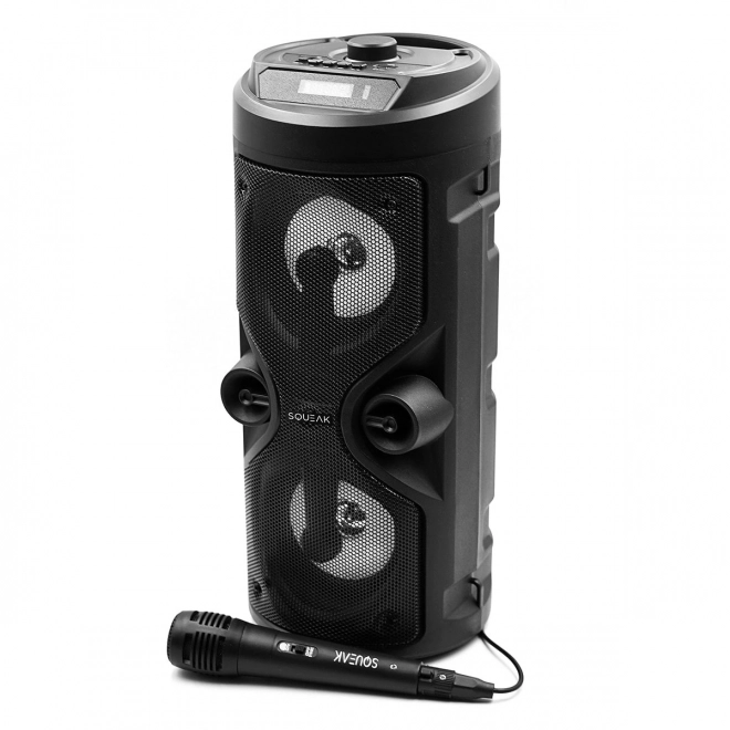 Bluetooth Speaker Harmony with Karaoke Function