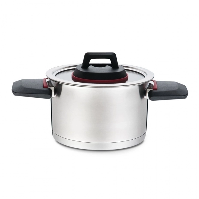 Stainless Steel Pot with Folding Handles