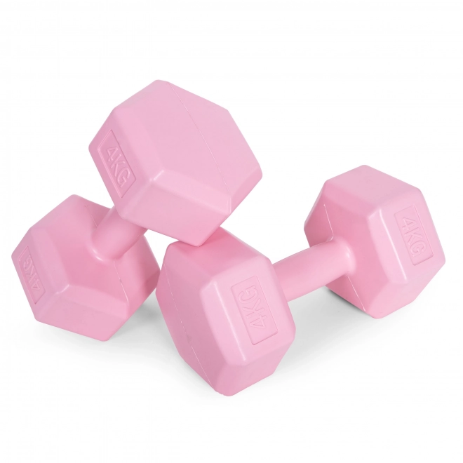 Pink Dumbbell Set by ModernHome 2x4 kg