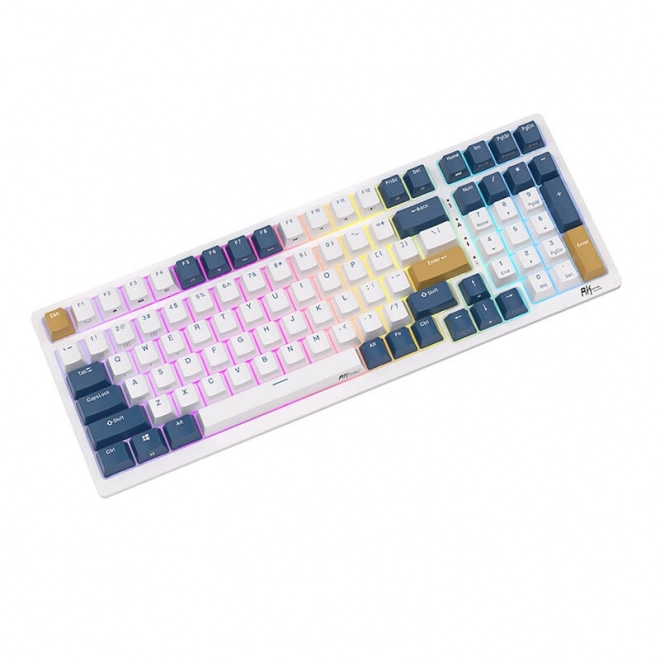 Mechanical keyboard Royal Kludge RK98 RGB with red switches