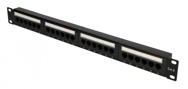 24 RJ45 ports