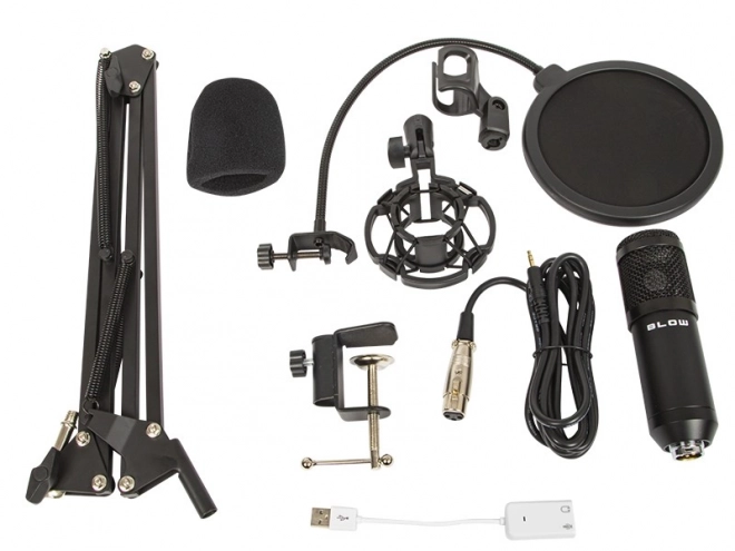 Studio microphone with stand