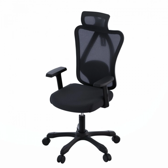 Ergonomické kancelářské křeslo Onyx