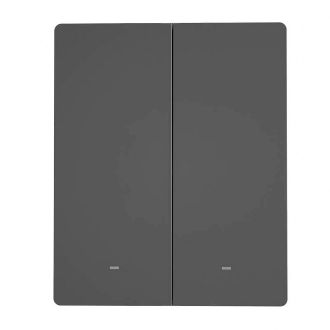 Smart wifi wall switch dual-channel graphite