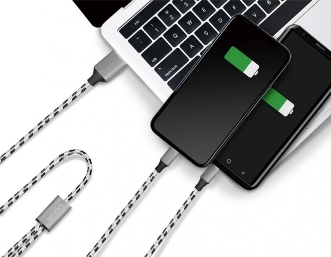 Cavo universale USB 2 in 1 LogiLink