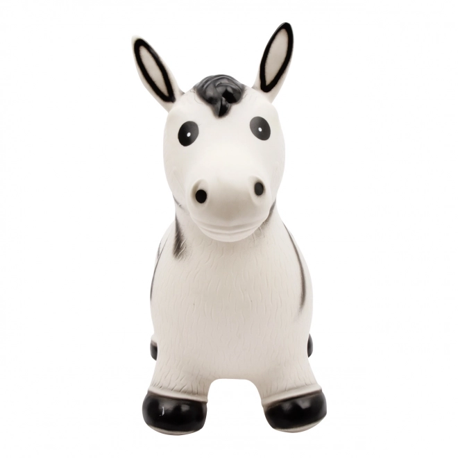 Inflatable Bouncing Zebra for Kids