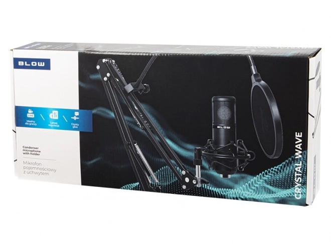 Studio microphone with stand