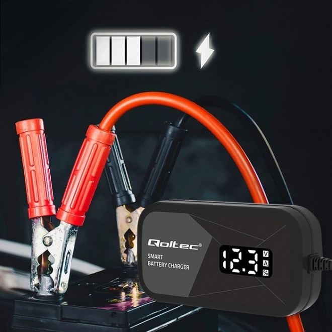 Intelligent Microprocessor Battery Charger 12V 2A with Cell Regeneration