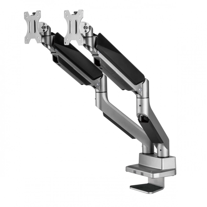 Ergo Office Dual Monitor Holder