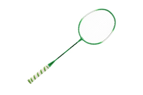 Badminton Set With Aluminum Rackets In Case