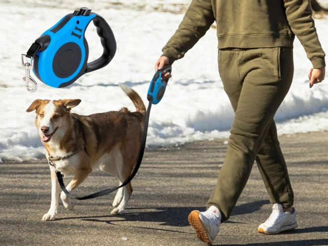 Automatisk hundesnor