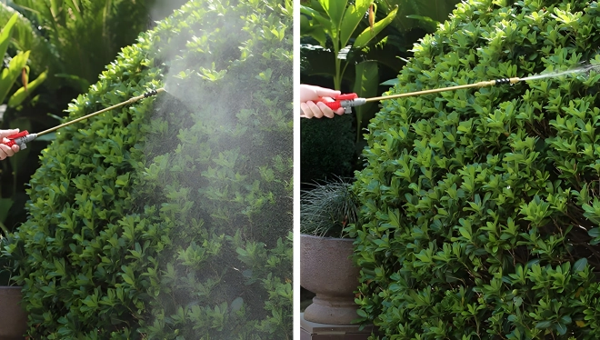 Garden Pressure Sprayer 8L by MultiGarden