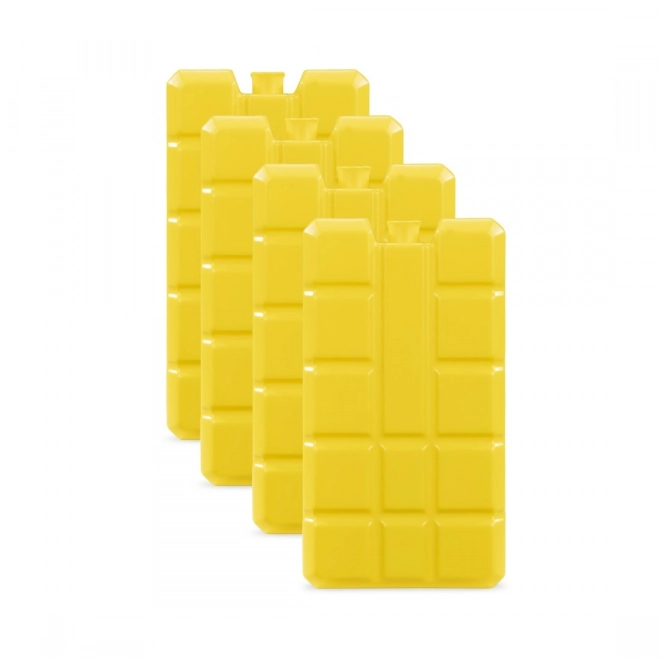 Cooling Inserts for Portable Cooler