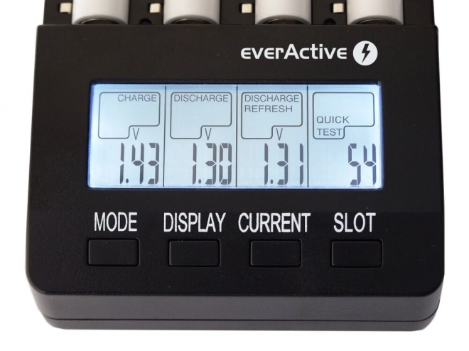 Professional Battery Charger for AA/AAA/C/D
