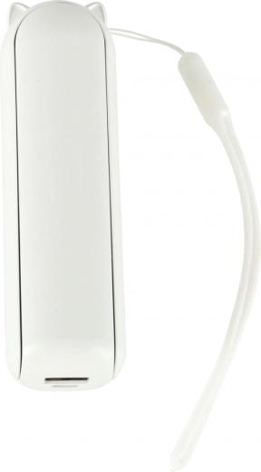 Ricarica rapida ed efficiente