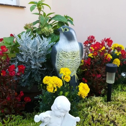 Bird Deterrent Falcon Replica