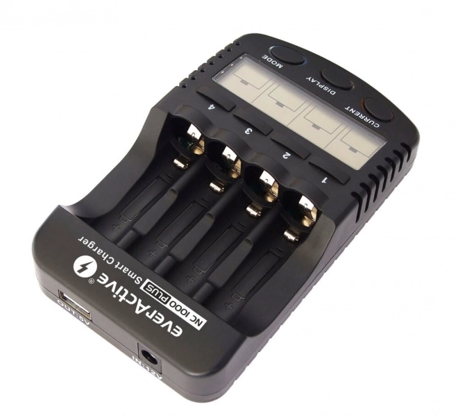 Professional Charger for AA/AAA Batteries