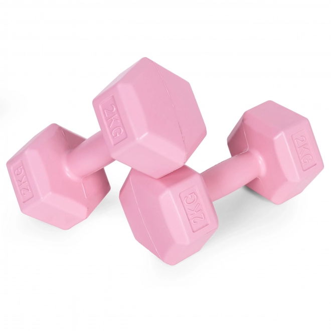 Set of Pink Dumbbells 2x2 kg ModernHome for Fitness