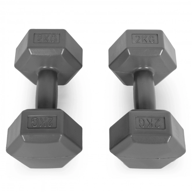 Hexagonal Dumbbells ModernHome 2x2 kg Grey