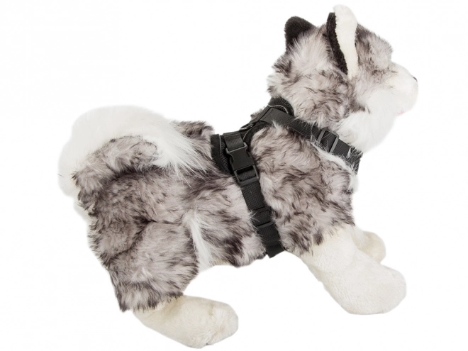 Schelle senza pressione per passeggiate cane XL