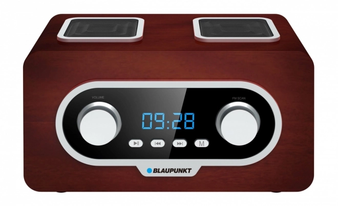 Portable FM/MP3/USB Radio with Clock