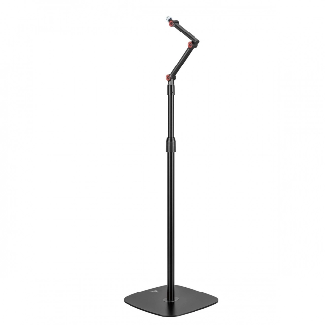 Adjustable Metal Microphone Stand
