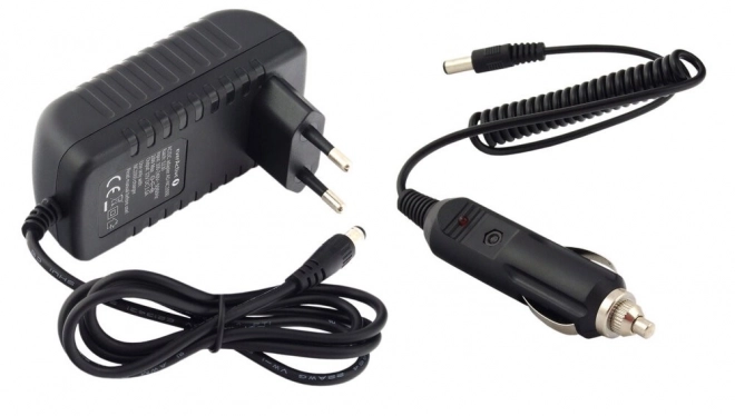 Professional Charger for AA/AAA Batteries