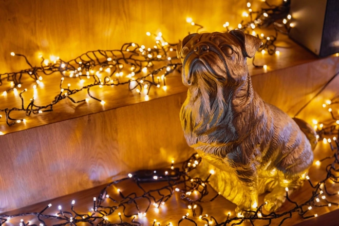 Lampadine LED a grappolo Twinkly 400 AWW