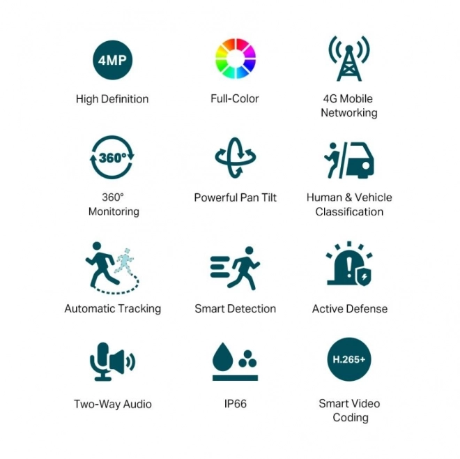 Vigi 4G LTE Full-Color Security Camera