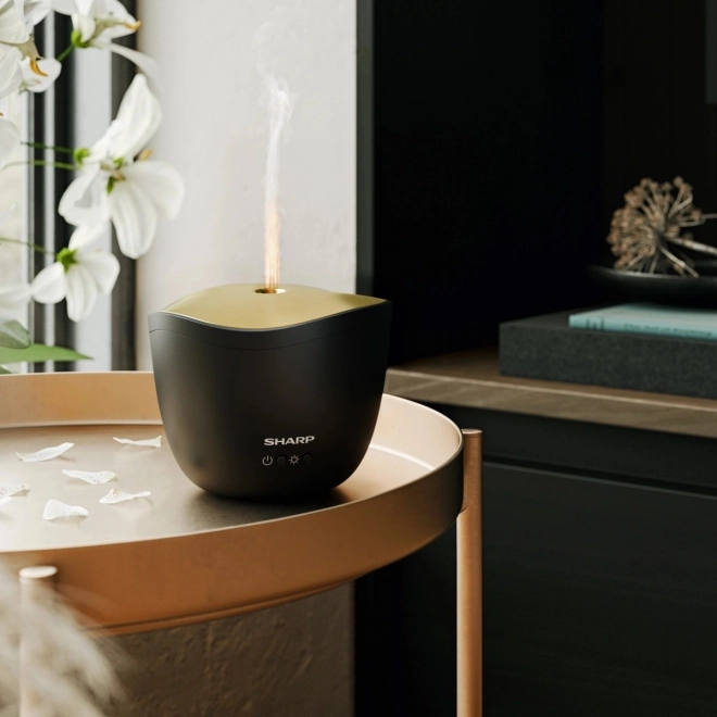 Ultrasonic Aroma Diffuser by Sharp