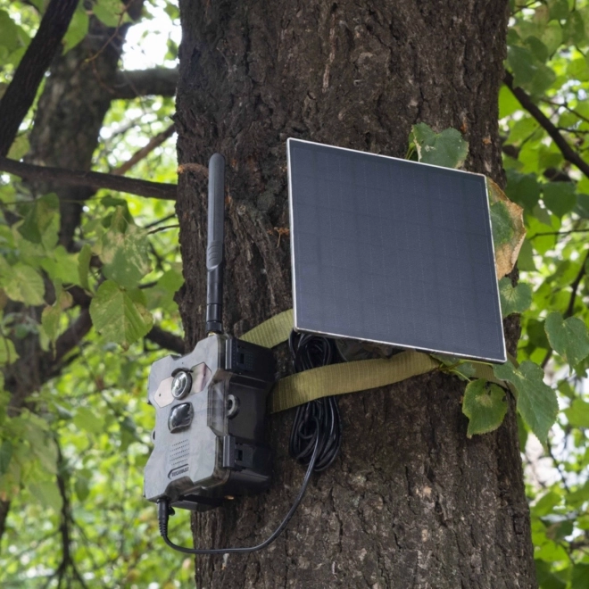 Technaxx 4G Solar Wildlife Camera