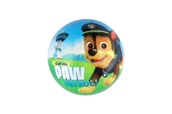 Paw Patrol Ball