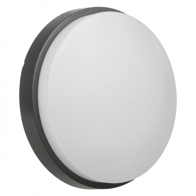 LED Wall and Ceiling Light