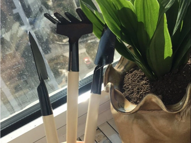 Set di mini attrezzi da giardinaggio 3 in 1 per vasi