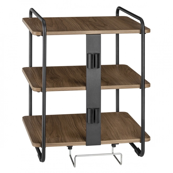 Stylish Cabinet with 3 Shelves