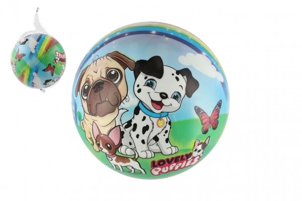Inflatable Dog Ball 23cm