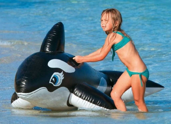 Inflatable Orca Boat