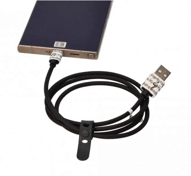 USB-C cable with music motif